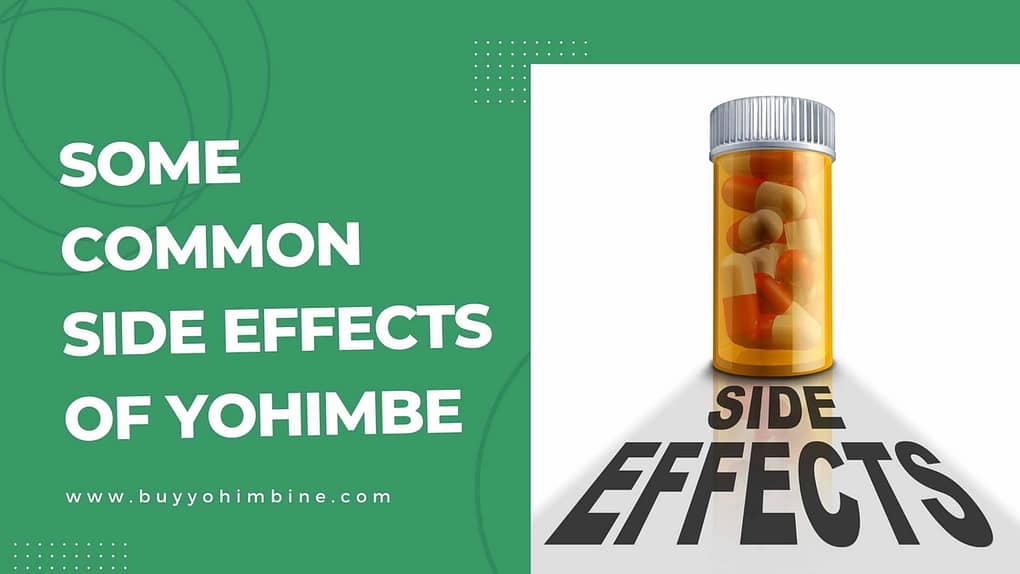 Some Common Side Effects Of Yohimbe