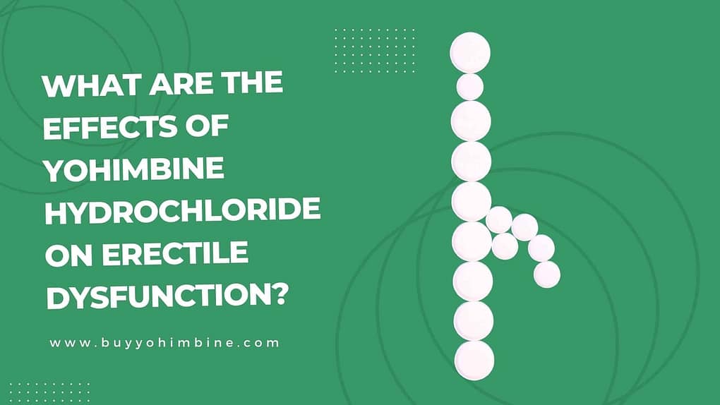 What are the effects of yohimbine hydrochloride on erectile dysfunction?