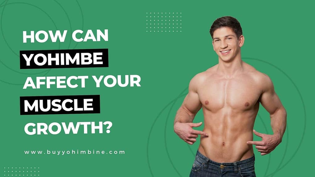 How Can Yohimbe Affect Your Muscle Growth?