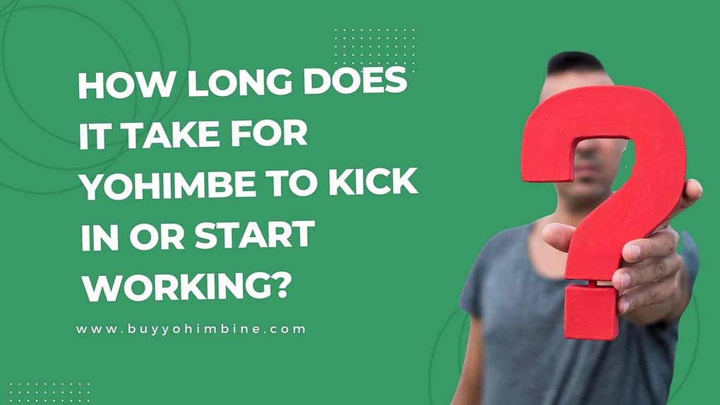 How Long Does It Take For Yohimbe To Kick In Or Start Working?