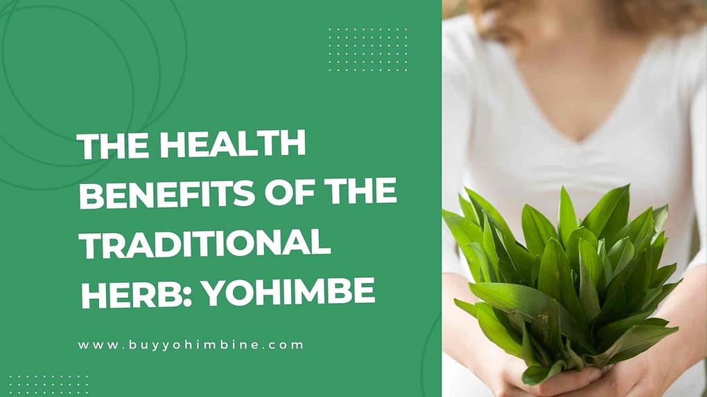 The Health Benefits of The Traditional Herb: Yohimbe