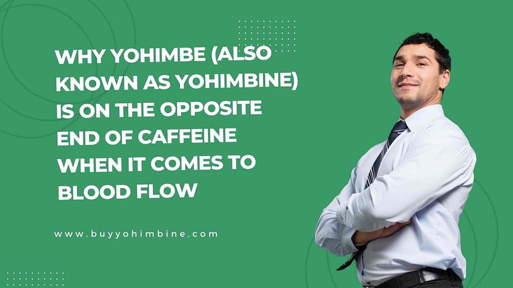 Why Yohimbe (also known as Yohimbine) is on the opposite end of caffeine when it comes to blood flow