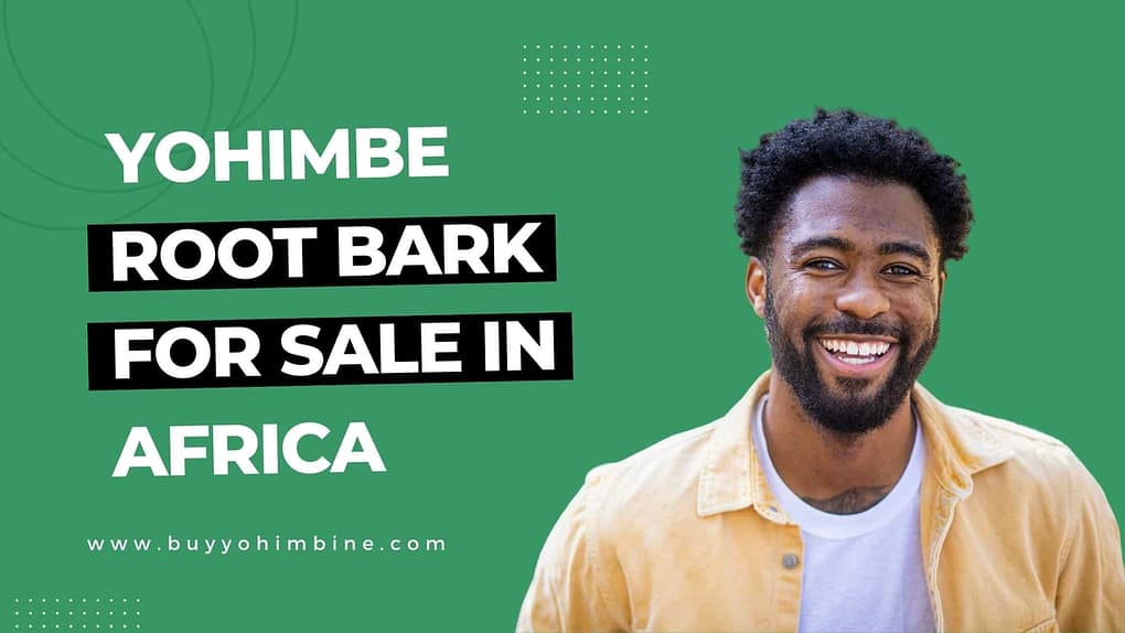 Yohimbe Root Bark For Sale From Africa