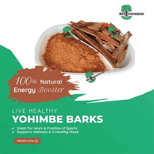 yohimbine extract