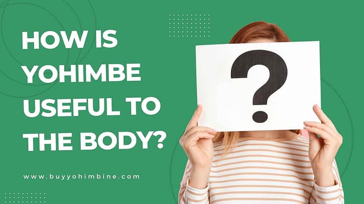 How Is Yohimbe Useful To The Body?