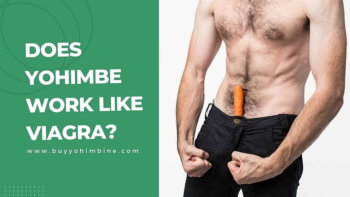 Does Yohimbe Work Like Viagra?