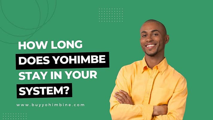 How long does Yohimbe stay in your system?