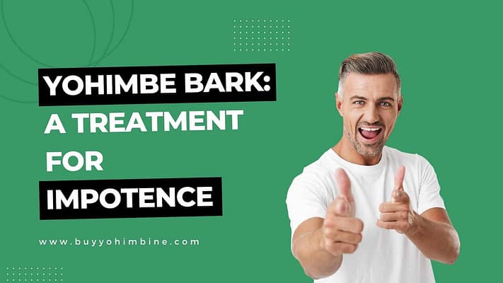 Yohimbe Bark: A Treatment For Impotence